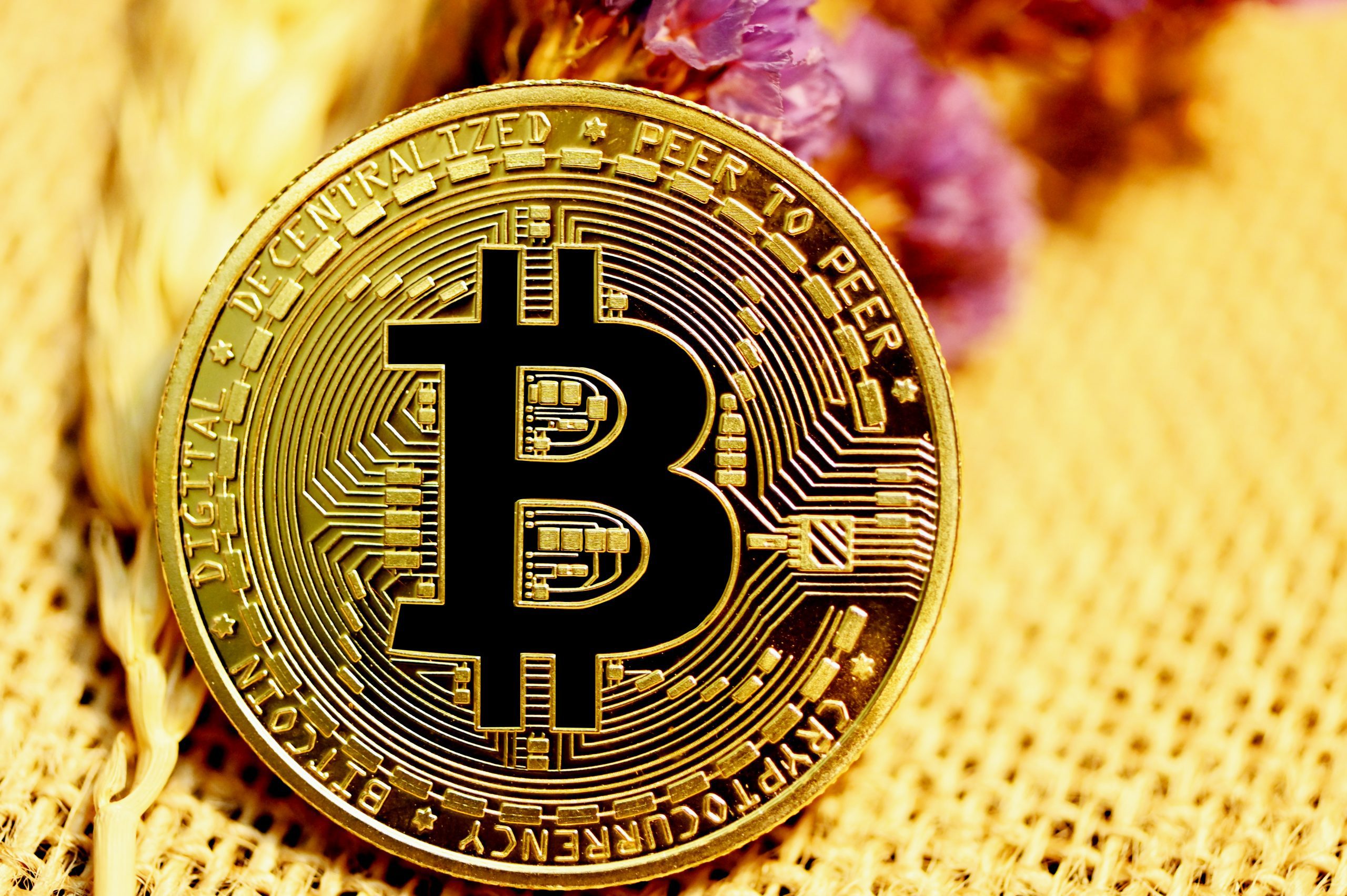 Bitcoin – Weekly Update 07/25
